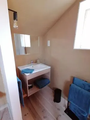 a bathroom with a sink and a mirror at B&B Leybeeckhof in Holsbeek
