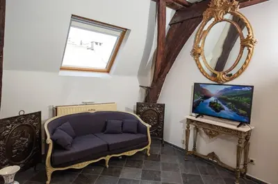 a living room with a couch and a mirror at HOFMARKGRAAF - Unique apartment in historic Antwerp mansion in Antwerp