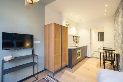 a small kitchen and living room with a television and a table at SHWAY - The Light Blue Parrot in Antwerp