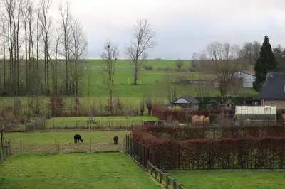 two horses grazing in a field with a fence at B&B Den Boskant in Zandbergen