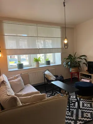 a living room with a couch and two windows at Elma’s Place in Ghent
