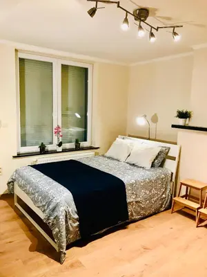 a bedroom with a bed and a window at Panda Bella in Zaventem