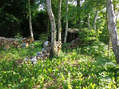 a stone house in the middle of a forest at Green Hill Apartment Overijse in Overijse