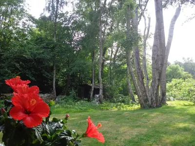 a red flower in a yard with trees at Green Hill Apartment Overijse in Overijse