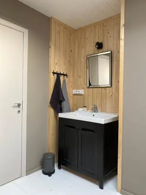 a bathroom with a sink and a mirror at B & B Simme Zimme in Brasschaat