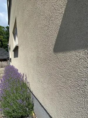 a wall with purple flowers next to a building at B & B Simme Zimme in Brasschaat