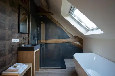 a bathroom with a shower and a sink and a skylight at B&B Langeveldemolen in Merchtem