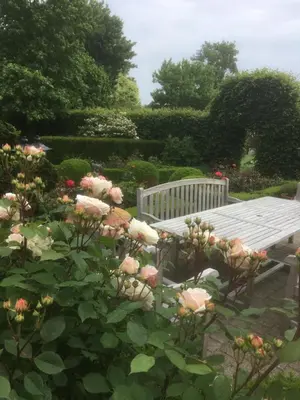 a table and a bench in a garden with roses at B&B OLEN in Olen