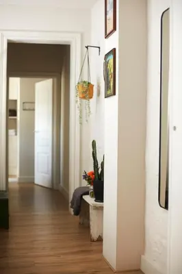 a hallway with a white wall and a plant on a table at B&B Toast Hoogstraten in Hoogstraten