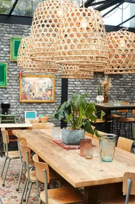 a wooden table with a potted plant in a room at B&B Toast Hoogstraten in Hoogstraten