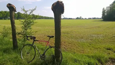 a bike parked next to two trees in a field at Muntershof in Velzeke-Ruddershove