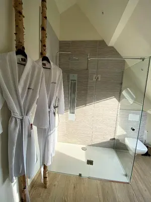 a bathroom with a glass shower and a toilet at Burgstraat 17 Apartment in Exclusive Patrician House in Medieval Ghent in Ghent