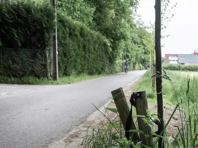 a person riding a bike down a road at Westmalle Forest Garden Home in Zoersel