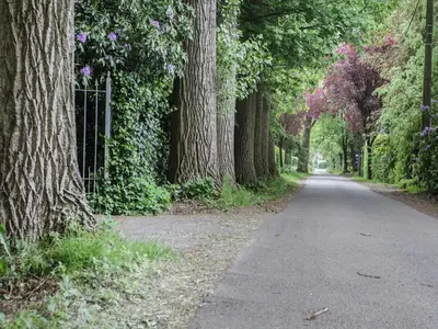an empty road with trees on either side at Westmalle Forest Garden Home in Zoersel