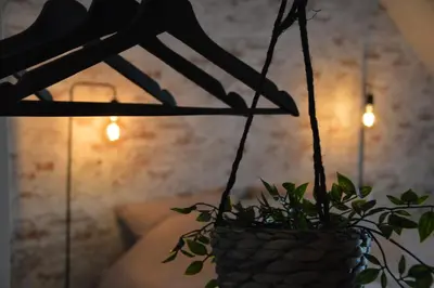a plant in a basket hanging from a ceiling at B&B Tantine in Retie