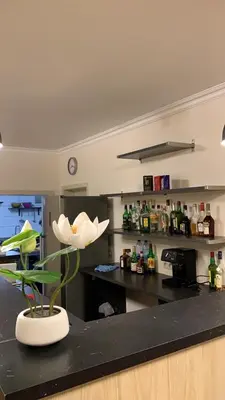 a kitchen with a white flower on a counter at Panda Stella in Zaventem