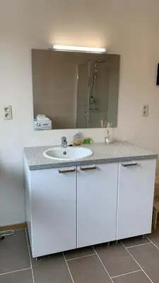a bathroom with a white sink and a mirror at Panda Stella in Zaventem