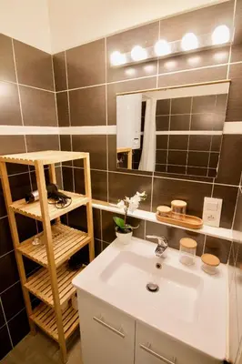 a bathroom with a sink and a mirror at Splendid & cosy studio - perfect location 'Stephanie-Louise area' in Brussels