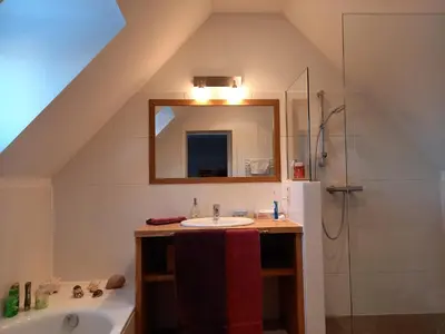 a bathroom with a sink and a mirror and a shower at little cottage in Lasne