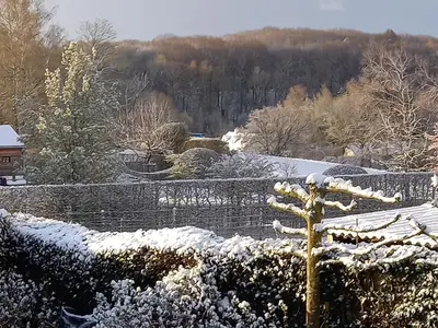 a snow covered garden with a tree in the foreground at little cottage in Lasne