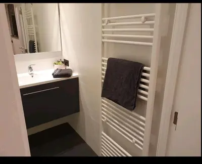 a bathroom with a sink and a mirror and a towel at Cocoon in East-Brussels in Wezembeek-Oppem