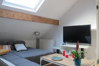 a living room with a couch and a flat screen tv at Brussels Downtown in Brussels