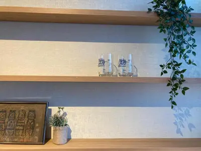 a shelf with glasses and a potted plant on it at Borgerhouse B&B in Antwerp