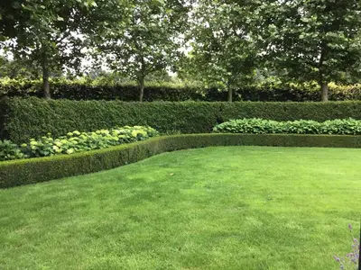a garden with a green lawn and bushes and flowers at Studio Gardenroom Guesthouse De Steenberg met wellness & tuinzicht in Geel