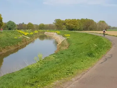 a person riding a bike down a road next to a river at Boslucht Leuven in Heverlee