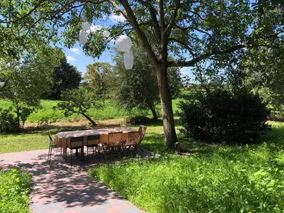 a table and chairs under a tree in a park at Op den Heust in Arendonk