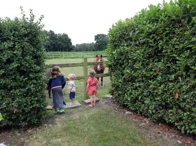 two girls and a woman looking at a horse behind a fence at Den Donkman in Dessel
