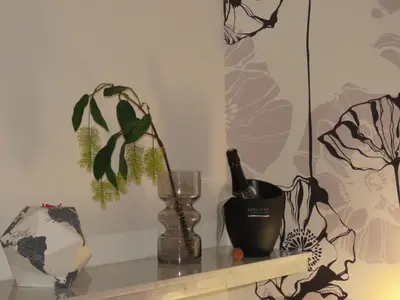 a shelf with a plant and a bottle on it at Kitrino in Geel