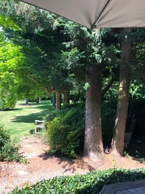 a bench sitting under an umbrella next to trees at T klein Kasteeltje Wetteren in Wetteren