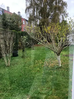 a field of grass with trees and a building at Residence Lilac in Brussels