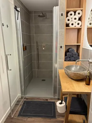 a bathroom with a shower and a sink at B&B Sint-Mariaburg in Antwerp