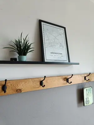 a shelf with a framed picture and a plant at HYTTA in Arendonk
