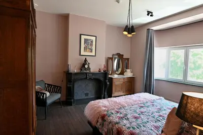a bedroom with a bed and a fireplace and a mirror at Nova Zembla in Mechelen
