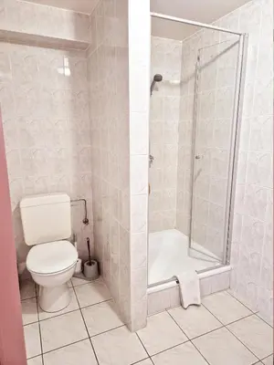 a bathroom with a toilet and a shower at Flatpolis Brussels Airport Budget in Diegem