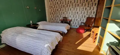 two beds in a room with green walls and wooden floors at Vakantiewoning in Mol centrum met eigen bar 