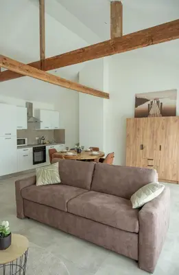 a living room with a brown couch and a kitchen at Brussels North - Pajot Apartments in Wemmel