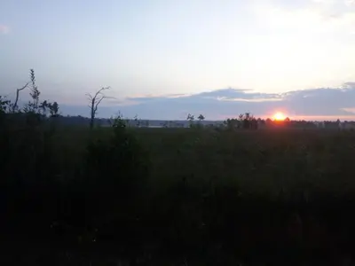a sunset in a field with the sun in the background at Bij grenspaal 243 in Essen