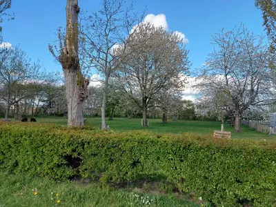 a park with trees and a bench in the grass at Bij grenspaal 243 in Essen
