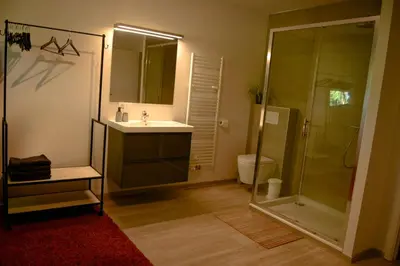a bathroom with a shower and a sink and a mirror at Villa Terlanen in Overijse
