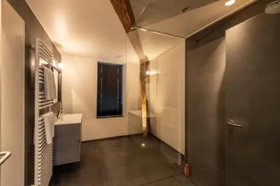a bathroom with a shower and a sink and a mirror at Spacious modern appartments in the heart of Brussels in Brussels
