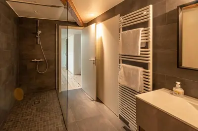 a bathroom with a shower and a sink at Spacious modern appartments in the heart of Brussels in Brussels