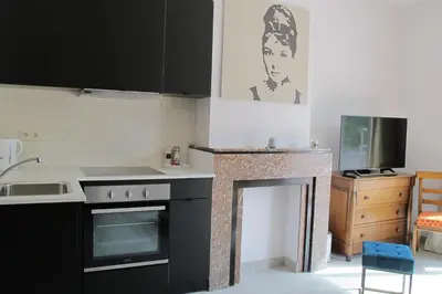a kitchen with a stove and a fireplace at Brussels Downtown with terrace in Brussels