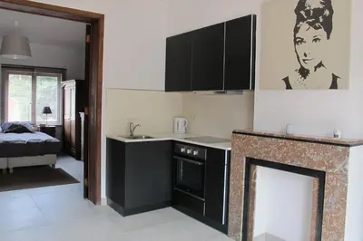 a kitchen with black cabinets and a fireplace at Brussels Downtown with terrace in Brussels
