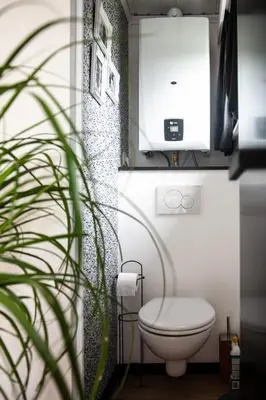a bathroom with a white toilet and a plant at Prachtige chalet Wabi Sabi aan het water! in Geel