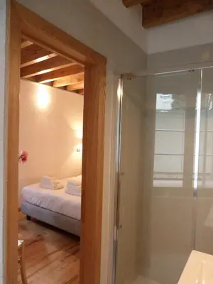 a bathroom with a shower and a bed in a room at L'Auberge de l'éclipse in Brussels