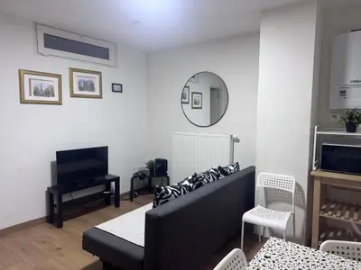 a living room with a couch and a mirror at Сarnot Apartments ZOO Area in Antwerp